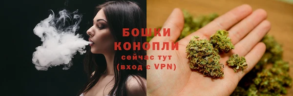 молекула духа Аркадак