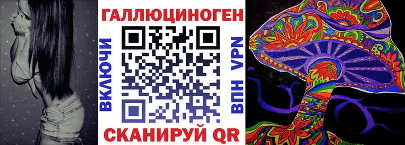 Псилоцибиновые грибы Psilocybine cubensis Славск