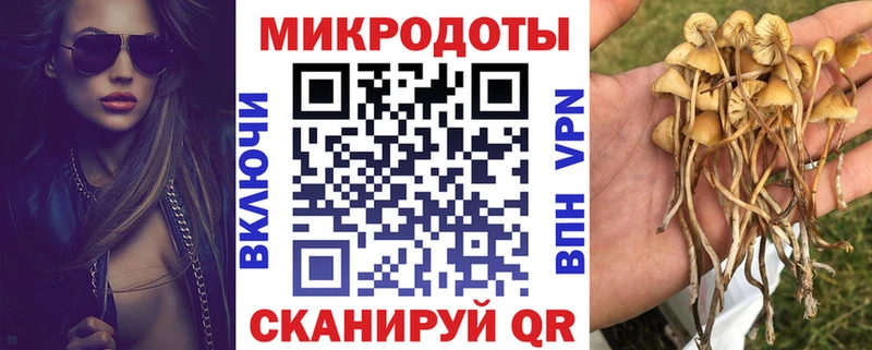 Псилоцибиновые грибы мицелий  Славск 
